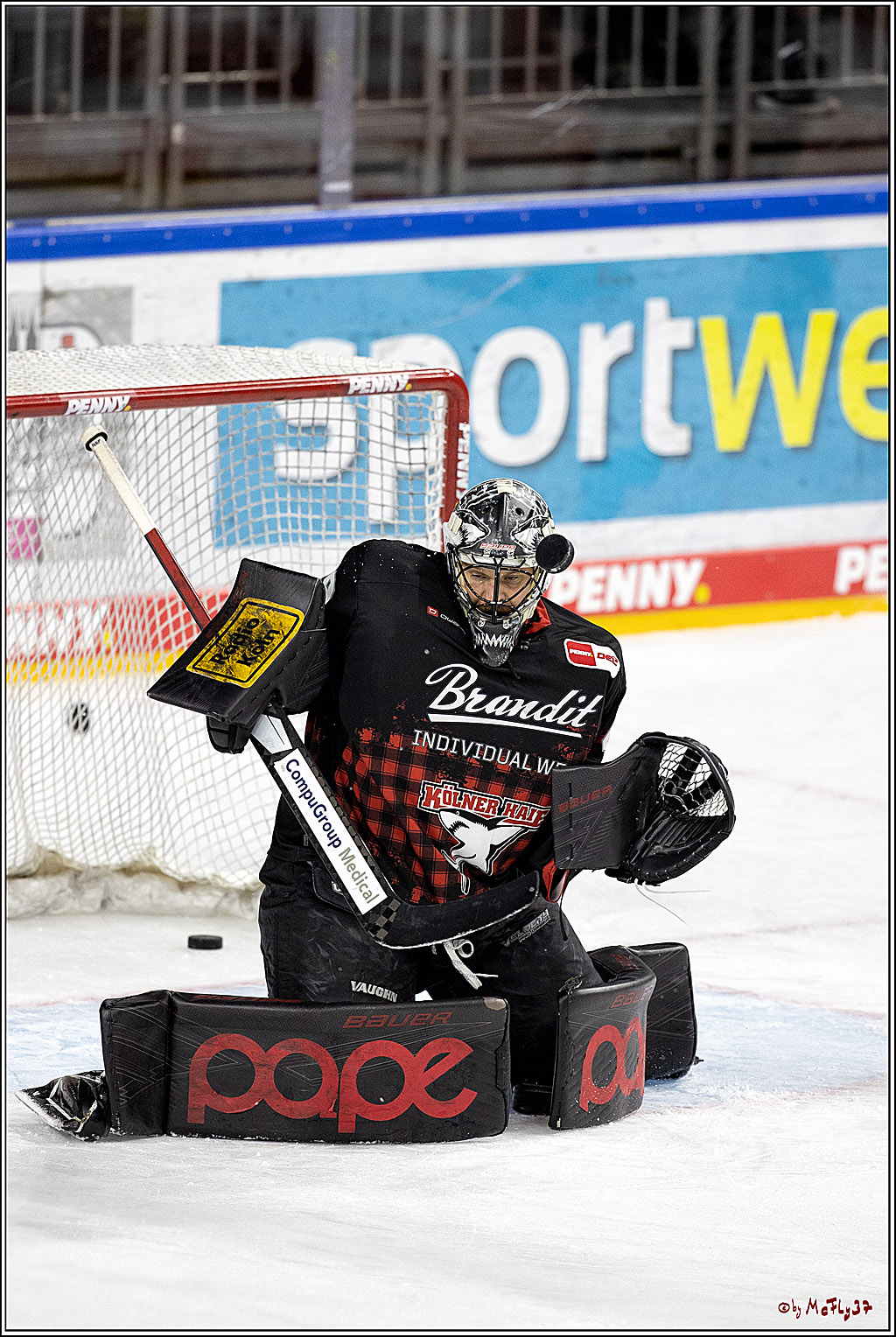 PENNY DEL;  Koelner Haie - Grizzlys Wolfsburg; Koeln, 25.11.2021